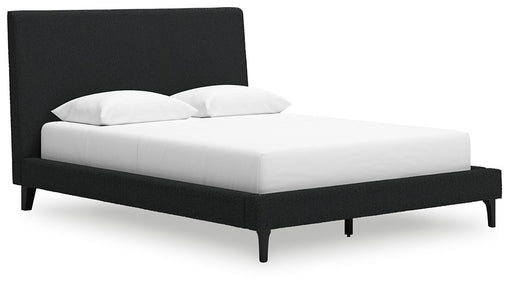 Cadmori Upholstered Bed with Roll Slats - All Brands Furniture (NJ)