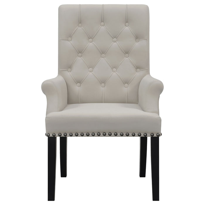 Alana Arm Chairs - All Brands Furniture (NJ)