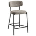 Elison Counter Stool - All Brands Furniture (NJ)