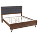 Robyn California King, E.King, & Queen Bed with Upholstered Headboard Dark Walnut - All Brands Furniture (NJ)