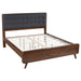 Robyn California King, E.King, & Queen Bed with Upholstered Headboard Dark Walnut - All Brands Furniture (NJ)