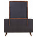 Robyn Dresser with Mirror - All Brands Furniture (NJ)