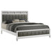 Barzini Panel Bed - All Brands Furniture (NJ)