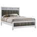 Barzini Panel Bed - All Brands Furniture (NJ)