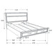 Miranda Panel Platform Storage Bed - All Brands Furniture (NJ)