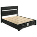 Miranda California King. E.King, & Queen 2-drawer Storage Bed Black & White - All Brands Furniture (NJ)