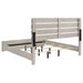 Brantford Panel Bed - All Brands Furniture (NJ)
