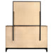 Watson Dresser with Mirror - All Brands Furniture (NJ)