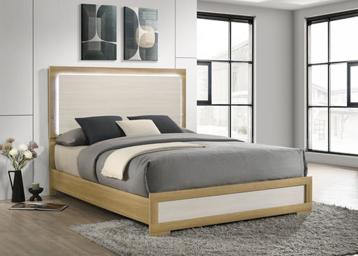 Hyland Panel Bed with LED Lighting - All Brands Furniture (NJ)