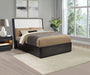 Leandro Wingback Bed - All Brands Furniture (NJ)