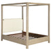 Solano Canopy Panel Platform Bed - All Brands Furniture (NJ)