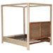 Solano Canopy Panel Platform Bed - All Brands Furniture (NJ)