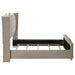 Lorient Wingback Bed with LED Lighting - All Brands Furniture (NJ)