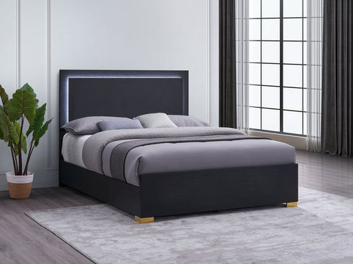 Marceline Panel Bed with LED Lighting - All Brands Furniture (NJ)