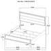 Wright Panel Bed - All Brands Furniture (NJ)