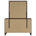 Welsley Dresser with Mirror - All Brands Furniture (NJ)