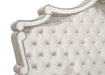 Antonella Panel Bed - All Brands Furniture (NJ)