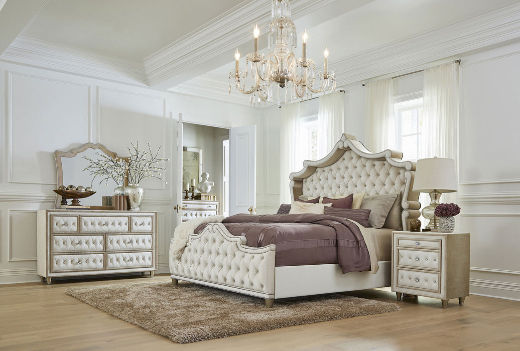 Antonella Panel Bed - All Brands Furniture (NJ)