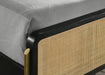 Arini Panel Bed - All Brands Furniture (NJ)
