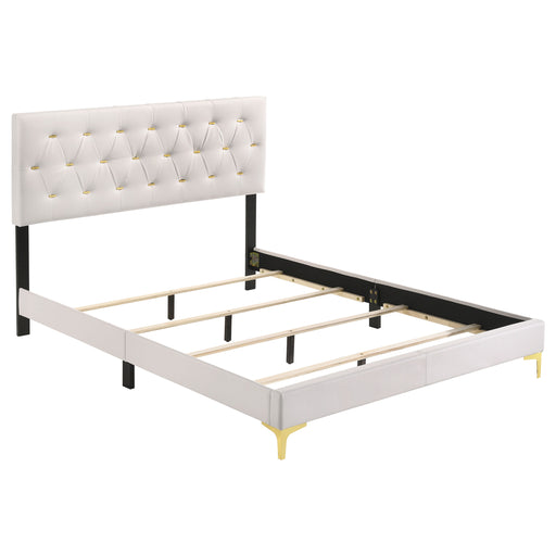 Kendall Panel Bed White - All Brands Furniture (NJ)