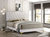 Kendall Panel Bed - All Brands Furniture (NJ)