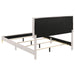 Kendall Panel Bed - All Brands Furniture (NJ)