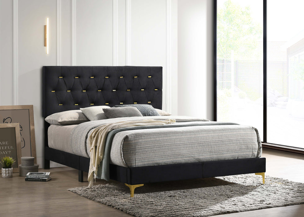 Kendall Panel Bed E.King, & Queen Black & White - All Brands Furniture (NJ)