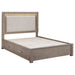 Kenora California King, E.king, & Queen Bed - All Brands Furniture (NJ)