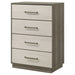 Fenwick Chest - All Brands Furniture (NJ)