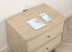 Kailani Nightstand - All Brands Furniture (NJ)