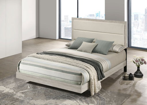 Trenton Panel Bed - All Brands Furniture (NJ)