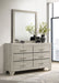 Trenton Dresser with Mirror - All Brands Furniture (NJ)