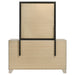 Trenton Dresser with Mirror - All Brands Furniture (NJ)