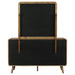 Robyn Dresser with Mirror - All Brands Furniture (NJ)