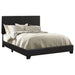 Dorian Panel Bed - All Brands Furniture (NJ)