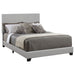 Dorian Panel Bed - All Brands Furniture (NJ)