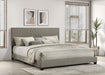 Dorian Panel Beds - All Brands Furniture (NJ)