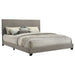 Dorian Panel Bed - All Brands Furniture (NJ)