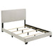 Dorian Panel Bed - All Brands Furniture (NJ)