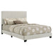 Dorian Panel Bed - All Brands Furniture (NJ)