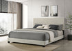 Dorian Panel Bed - All Brands Furniture (NJ)