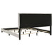 Dorian Panel Bed - All Brands Furniture (NJ)
