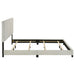 Dorian Panel Bed - All Brands Furniture (NJ)
