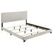 Dorian Panel Bed - All Brands Furniture (NJ)