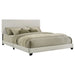 Dorian Panel Bed - All Brands Furniture (NJ)