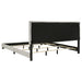 Dorian Panel Bed - All Brands Furniture (NJ)