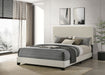 Dorian Panel Bed - All Brands Furniture (NJ)