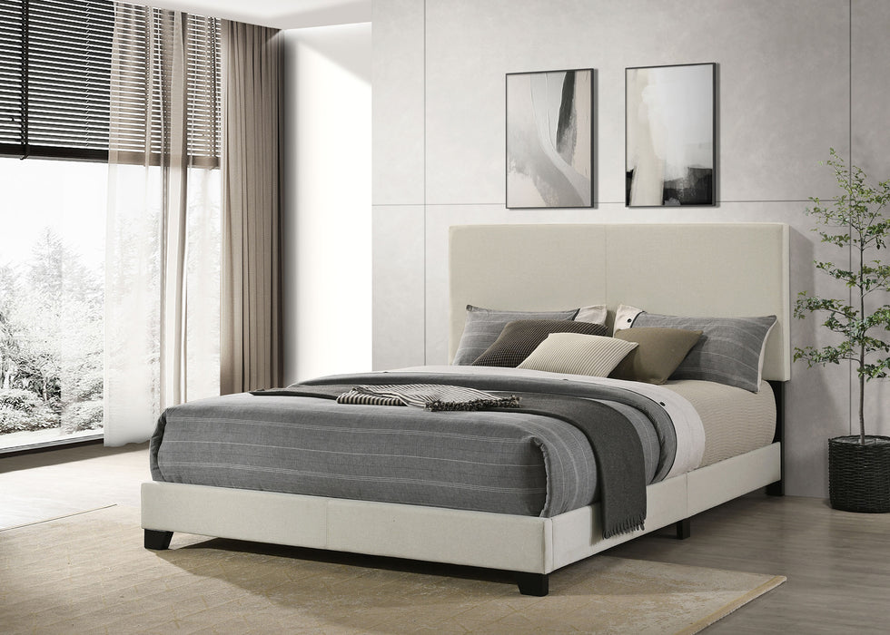 Dorian Panel Bed - All Brands Furniture (NJ)