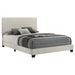 Dorian Panel Bed - All Brands Furniture (NJ)