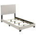 Dorian Panel Bed - All Brands Furniture (NJ)